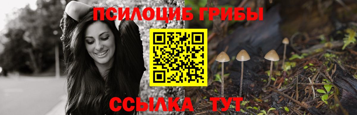 Первоуральск  Псилоцибиновые грибы прущие грибы  цены   Вход с VPN 